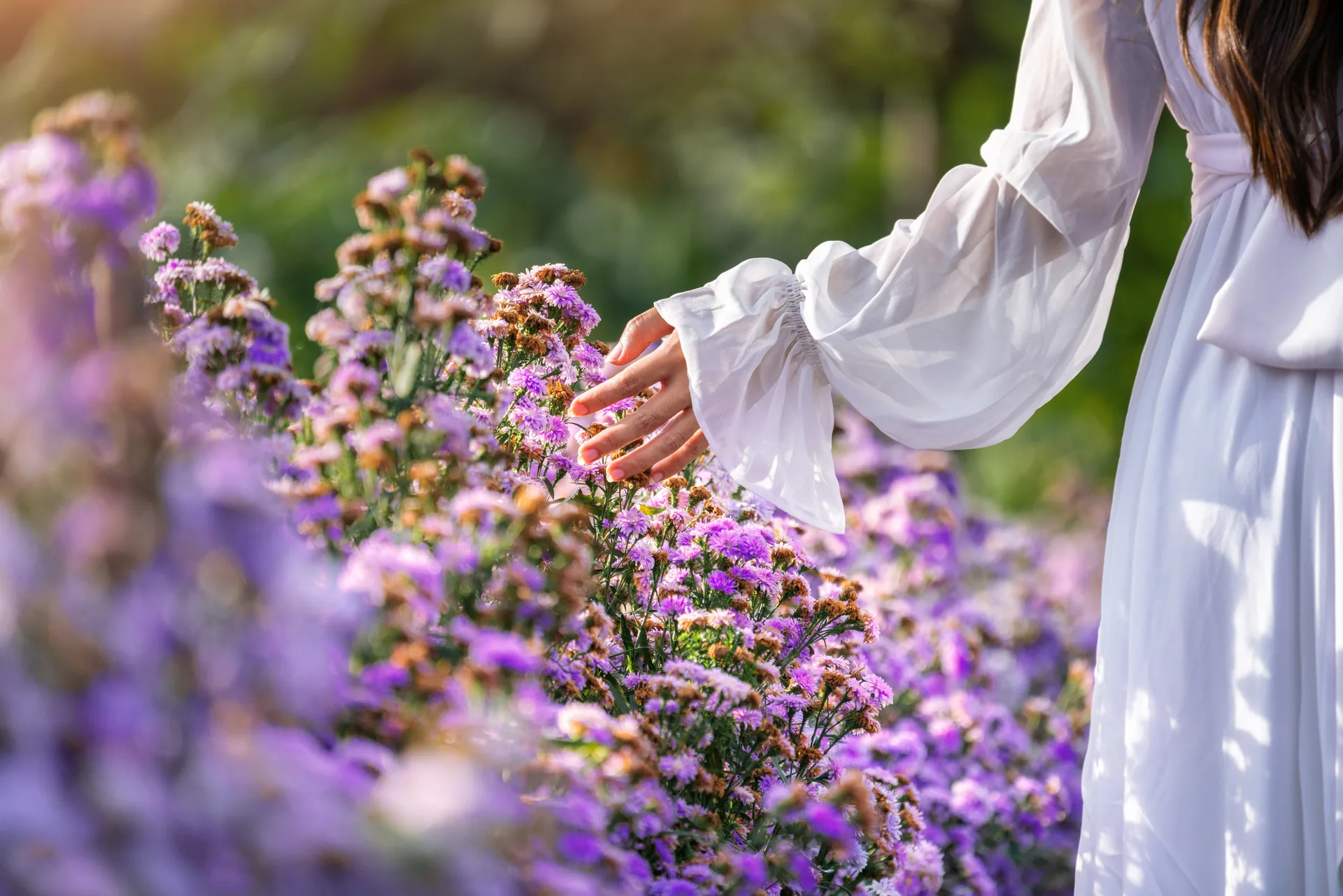 Scents of nature: perfumes inspired by the exotic flora and fauna of the world