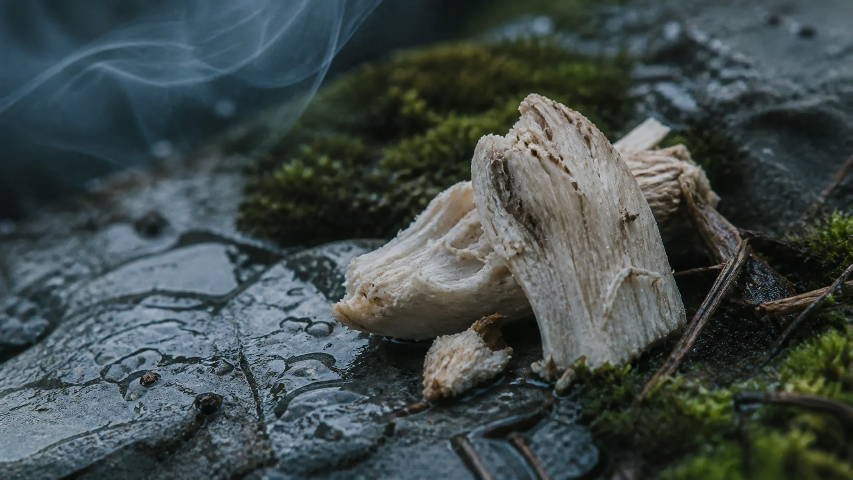 Quelle est l'odeur du brouillard : les secrets parfumés de l'air humide