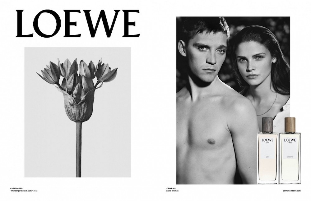 Brand photo  Loewe