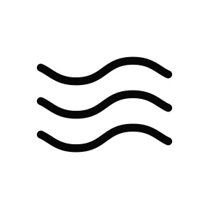 Логотип бренда  Soma Ayurvedic