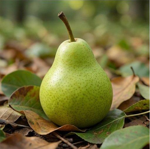 Pear