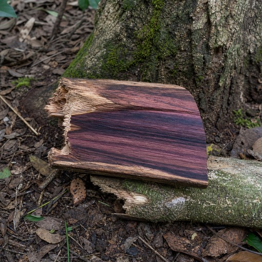Bild der Note Kingwood