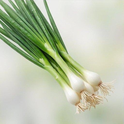 Fotografía de la nota Cebolla Verde
