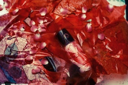 Bottle photo A Lab on Fire Rose Rebelle Respawn