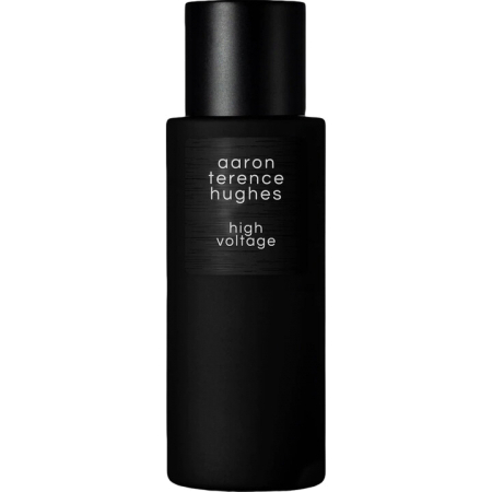 Aaron Terence Hughes High Voltage