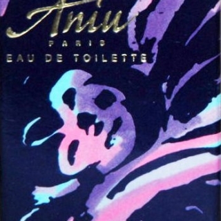 Aniu de la Baie Aniu