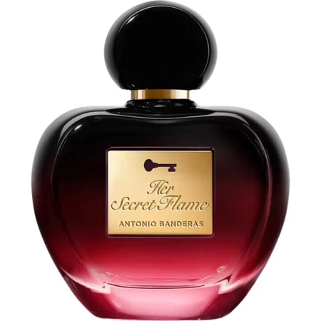 Antonio Banderas Her Secret Flame