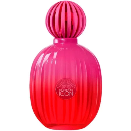 The Icon Supreme for Women