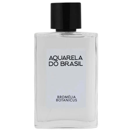 Aquarela do Brasil Bromélia Botanicus