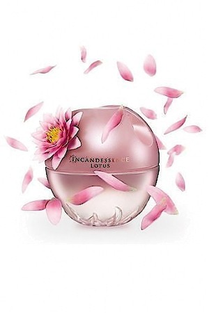 Incandessence Lotus