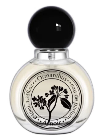 Aynoir 安喏 Osmanthus 桂花