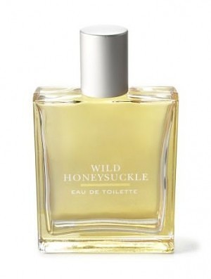 Wild Honeysuckle