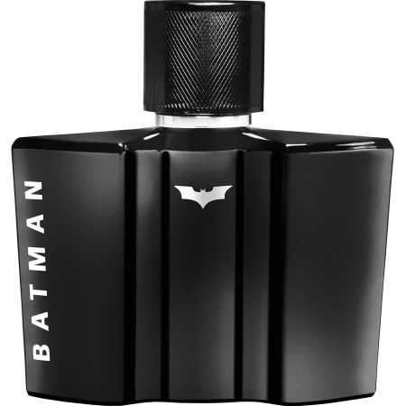 Batman The Dark Knight Rises