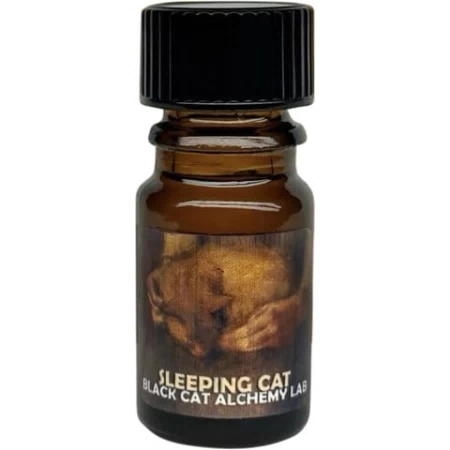 Sleeping Cat