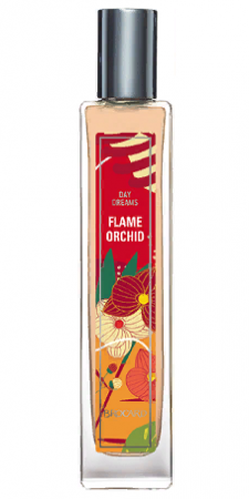 Flame Orchid