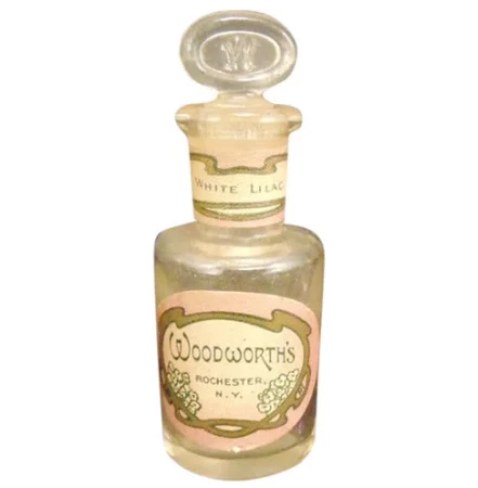 C. B. Woodworth & Sons Co. White Lilac
