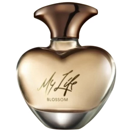 Carol's Daughter Mary J. Blige My Life Blossom
