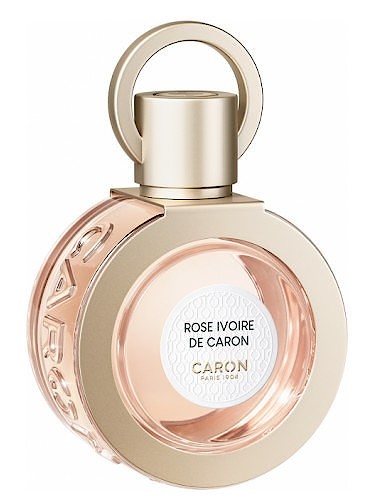 Rose Ivoire de Caron 2021