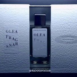 Cerchi Nell Acqua Olea Fragrans