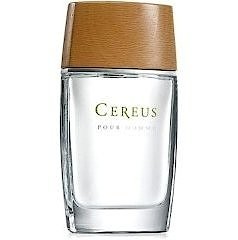 Cereus Pour Homme N° 4