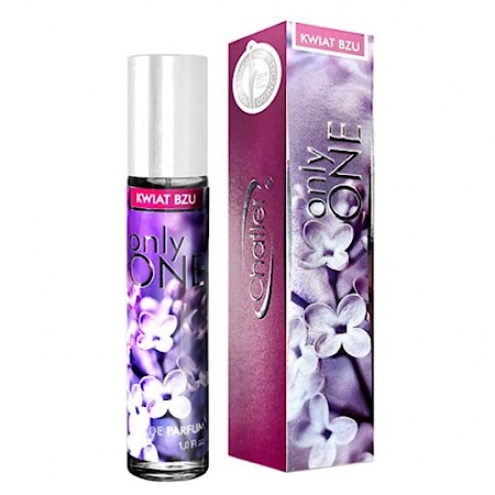Only One Lilac / Kwiat Bzu