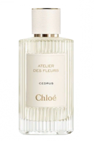 Cedrus