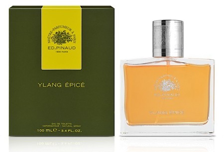 Clubman / Edouard Pinaud / Ed Pinaud Ylang Epice