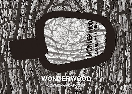 Bottle photo Comme des Garçons Parfums Wonderwood