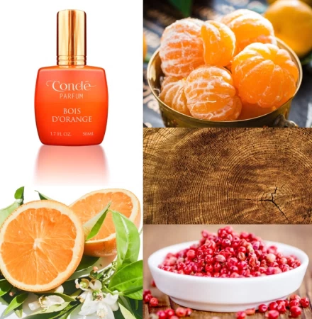 香水瓶照片  Condé Parfum
