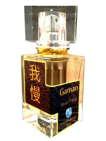 Cristian Brinck Gaman 我慢