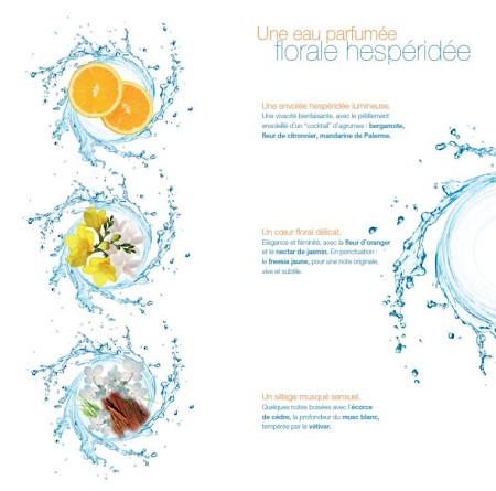Dr. Pierre Ricaud Eau de Beaute