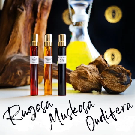 Foto des Flakons  Ensar Oud / Oriscent