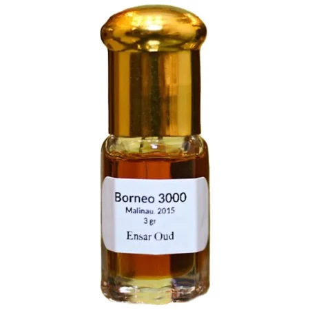 Borneo 3000