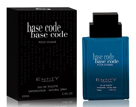 Entity Base Code