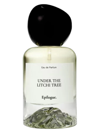 Epilogue. Under the Litchi Tree