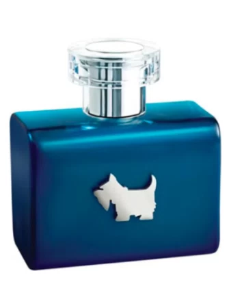 Ferrioni Terrier Blue