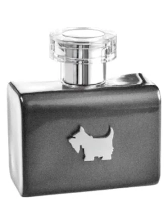 Terrier Grey