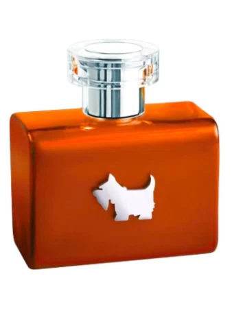 Ferrioni Terrier Orange