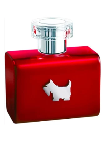 Ferrioni Terrier Red