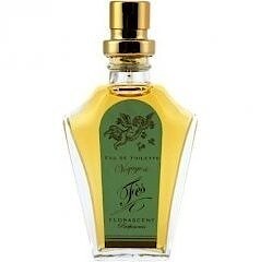 Bottle photo  Florascent