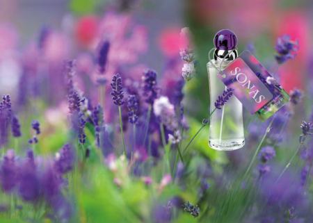 Bottle photo  Fragrances of Ireland