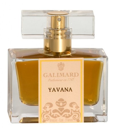 Galimard Yavana