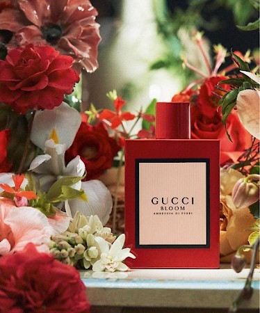 Gucci Gucci Bloom Ambrosia di Fiori