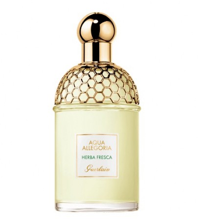 Bottle photo Guerlain Aqua Allegoria Herba Fresca