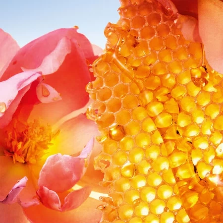 香水瓶照片  Guerlain