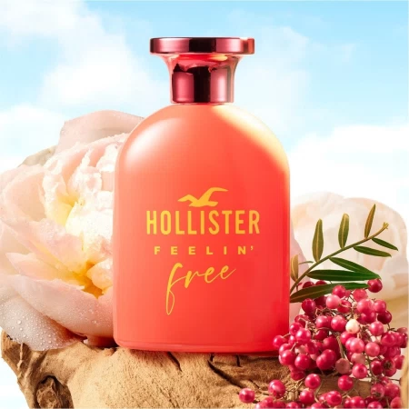 Foto des Flakons  Hollister