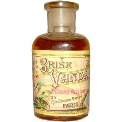 Jean-Paul Giraud et Fils Brise Vanda