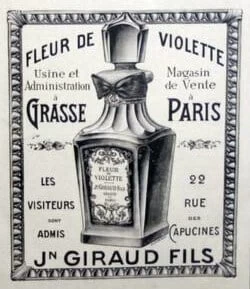 Jean-Paul Giraud et Fils Fleur de Violette