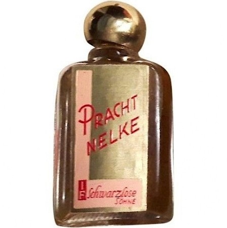 J.F. Schwarzlose Berlin Prachtnelke