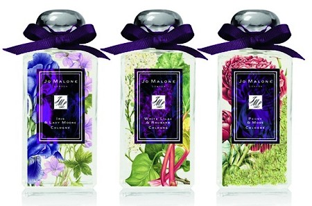Peony & Moss